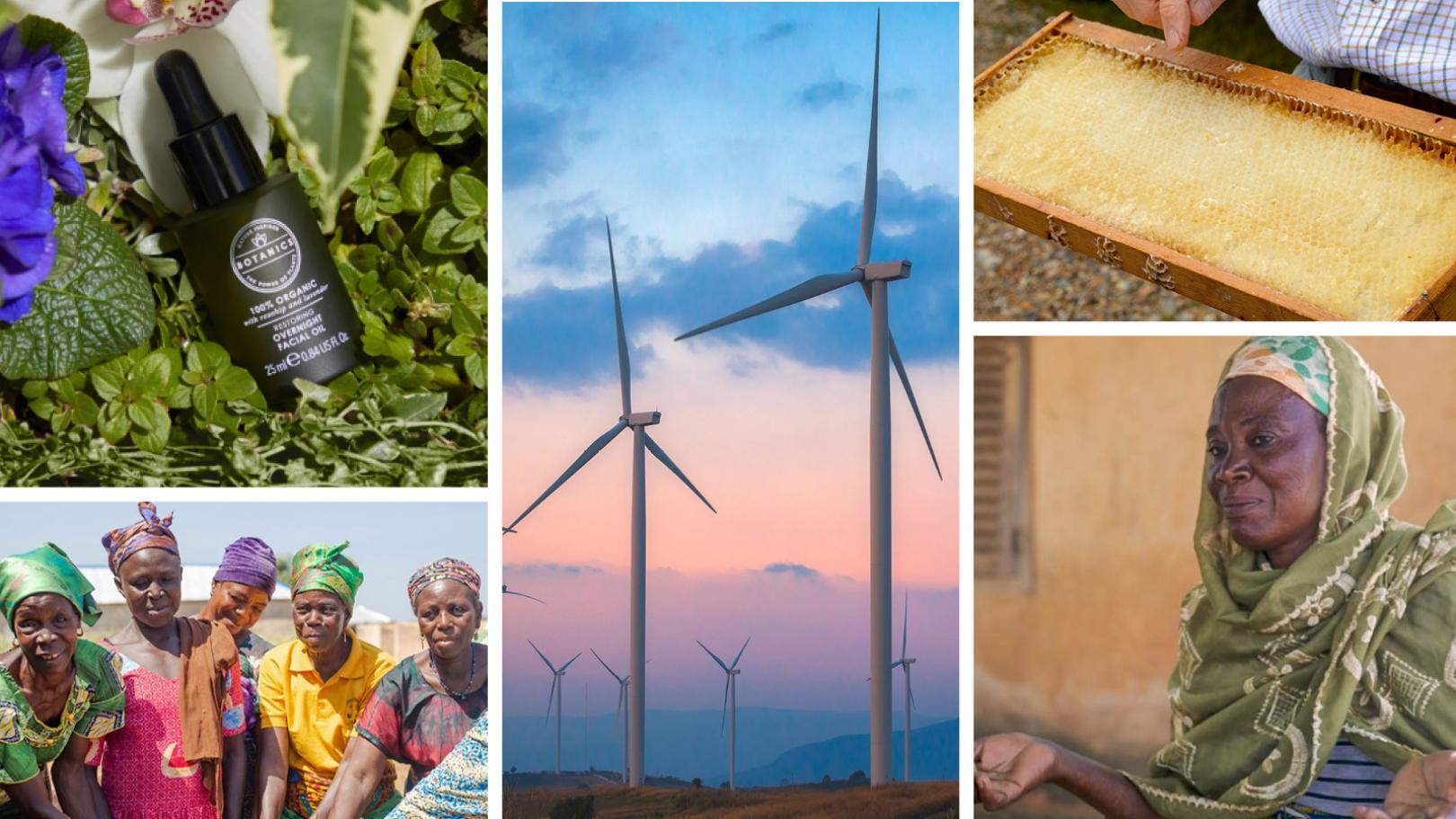 Grid image of people, ingredients and product shots